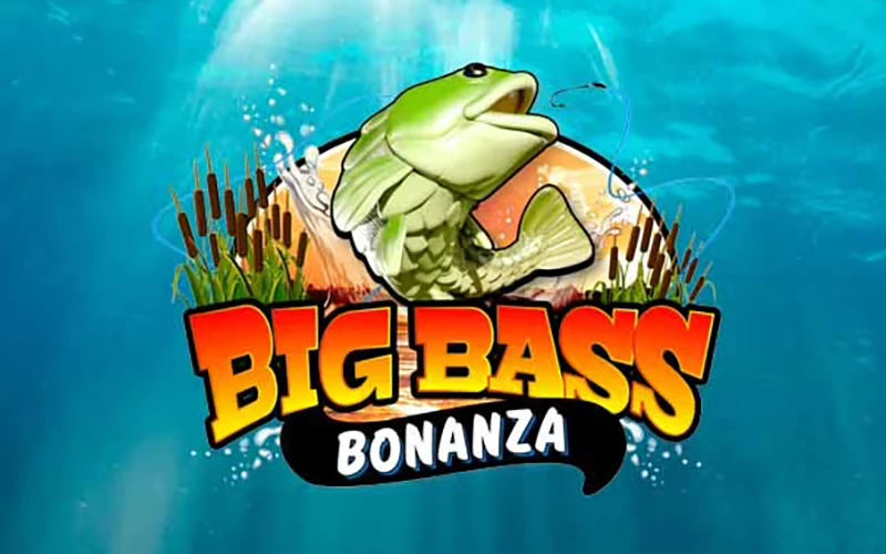 Climb the leaderboard to become one of the top players in Big Bass Bonanza at Boho Casino.