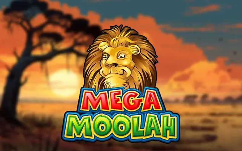 At Boho Casino, you’ll find the highest RTP rate in Mega Moolah.