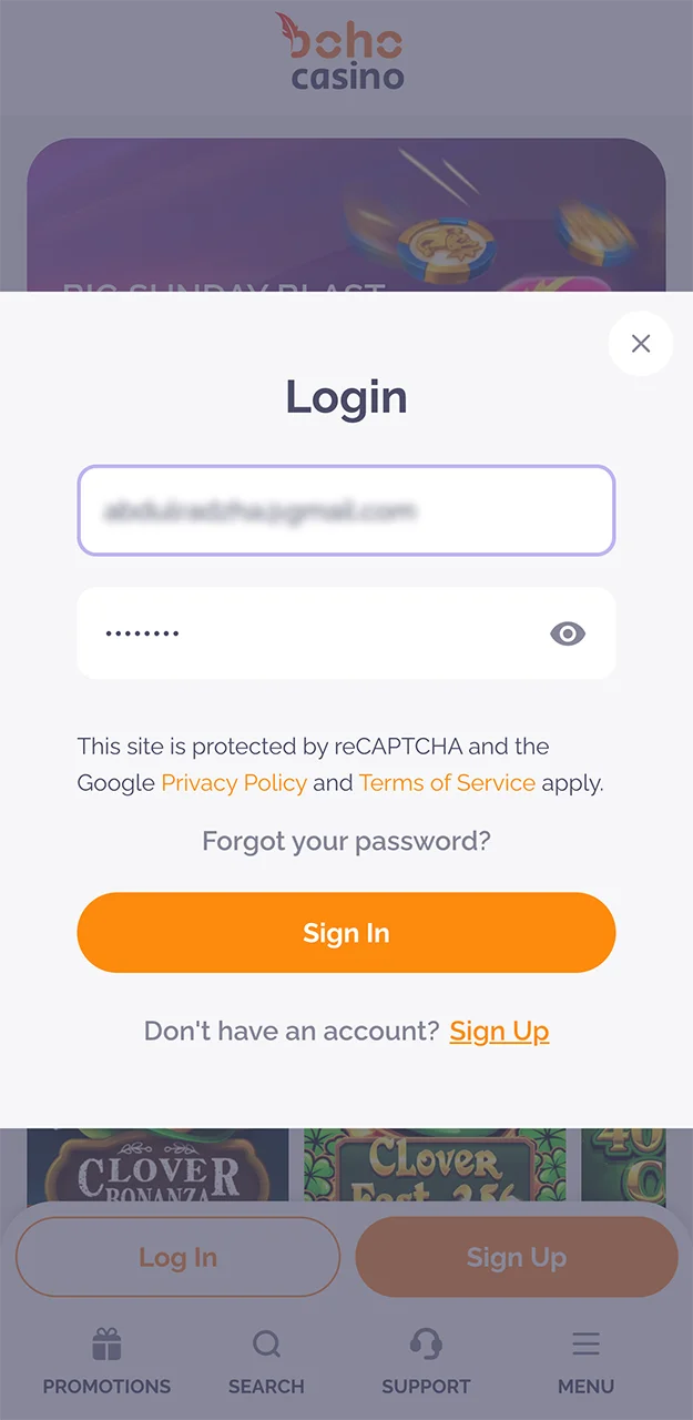 Enter your Boho Casino account password.