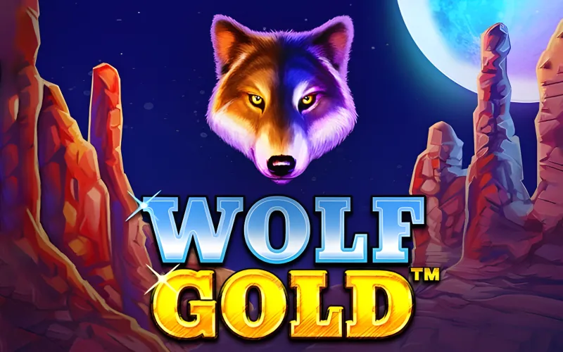 Get involved in the Wolf Gold game at Boho Casino.